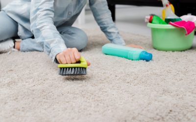 This is the Best Solution EVER for Carpet Cleaning