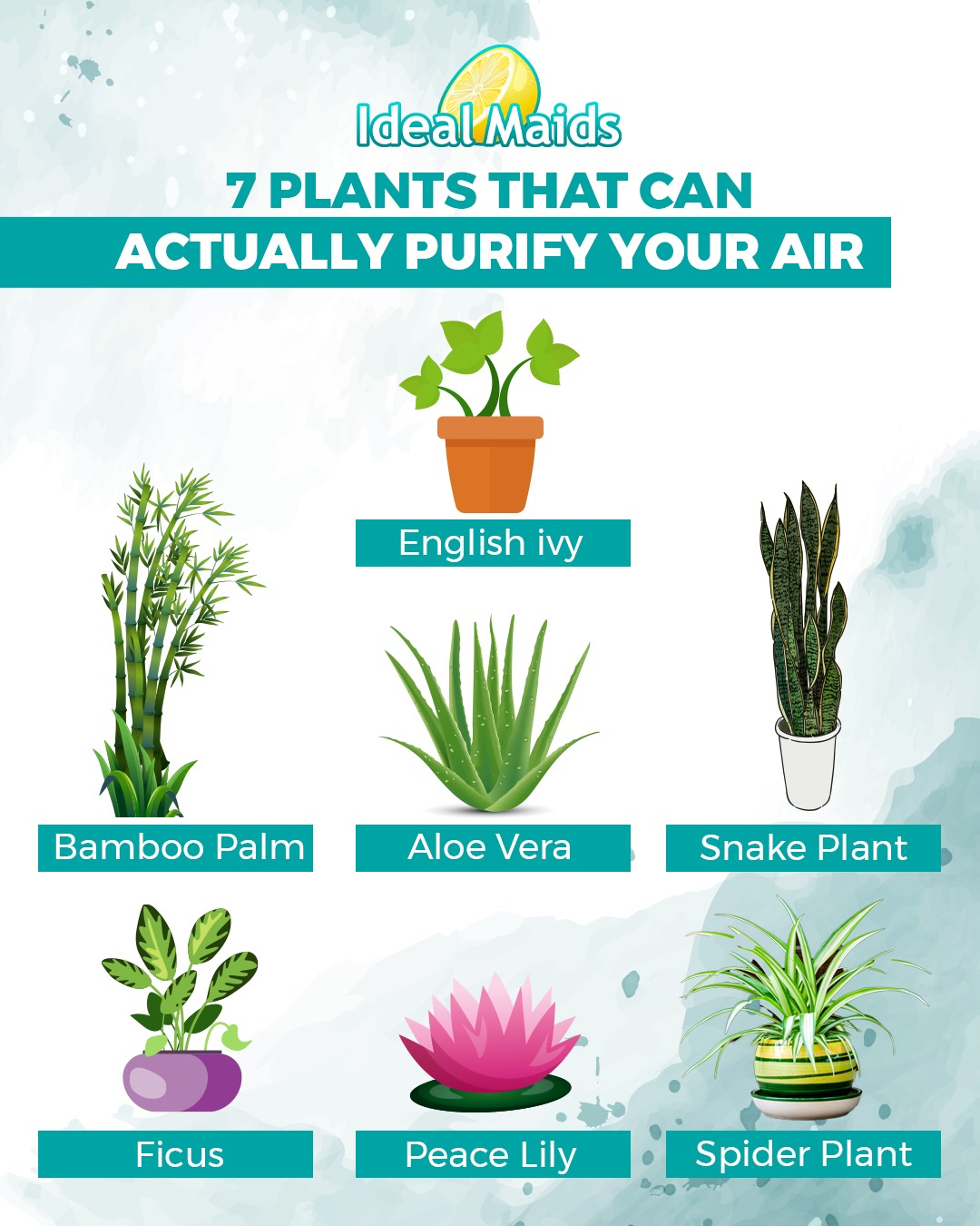 7 Plants than can actually purify your AIR.