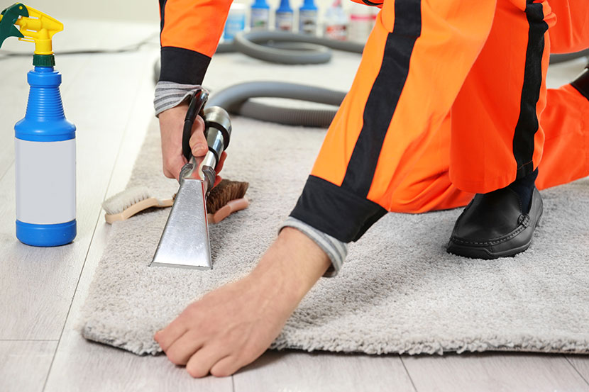 The ideal carpet cleaning service