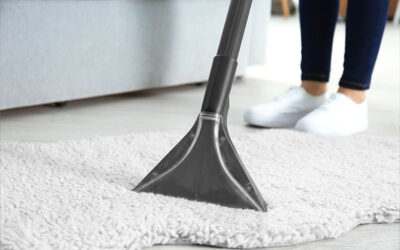 Why Professional Carpet Cleaning matters for your home in Calgary?