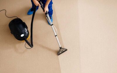 Why Ideal Carpet Cleaning in the Calgary Area is a Must for Your Home