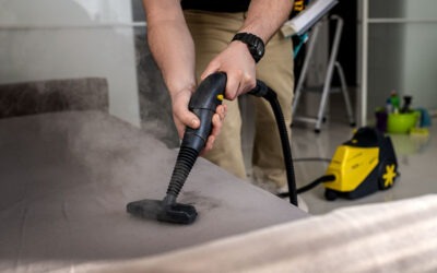 Revitalize Your Home with Upholstery Cleaning Service in the Calgary Area