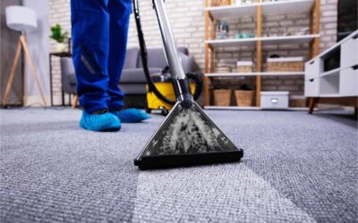 Why The Ideal Carpet Cleaning in the Calgary Area Is Essential