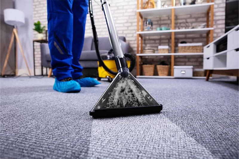 Ideal Carpet Cleaning Service Available in the Calgary Area