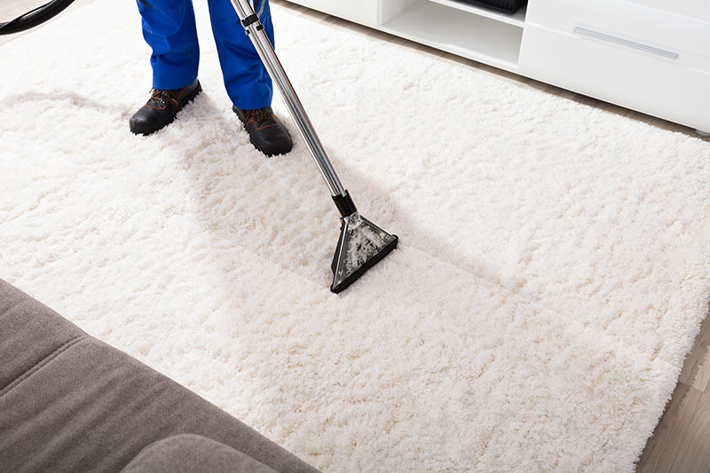 Ideal Carpet Cleaning Service in the Calgary Area Home cleaning services in Calgary