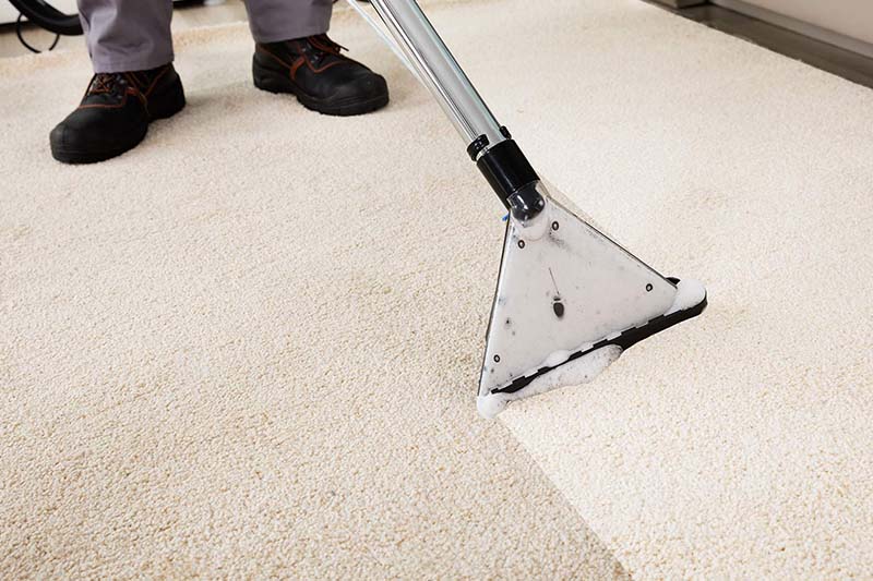 The Ideal Carpet Cleaning Service in the Calgary Area Home cleaning services in Calgary