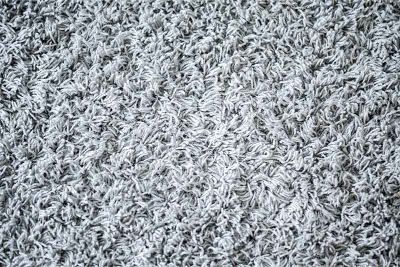 Carpet Cleaning Service Available in Calgary Home cleaning services in Calgary