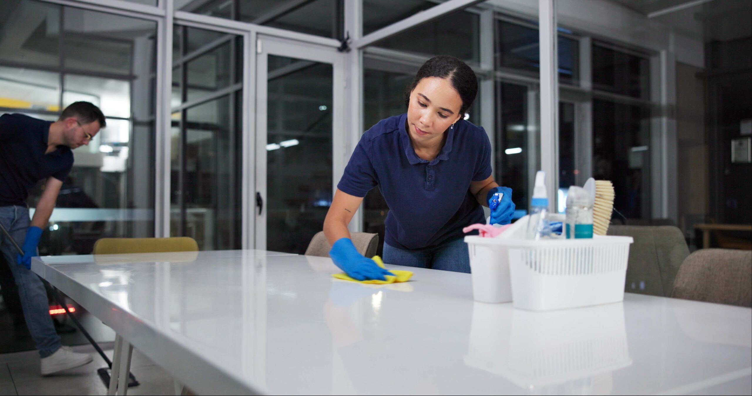 professional home cleaners Calgary